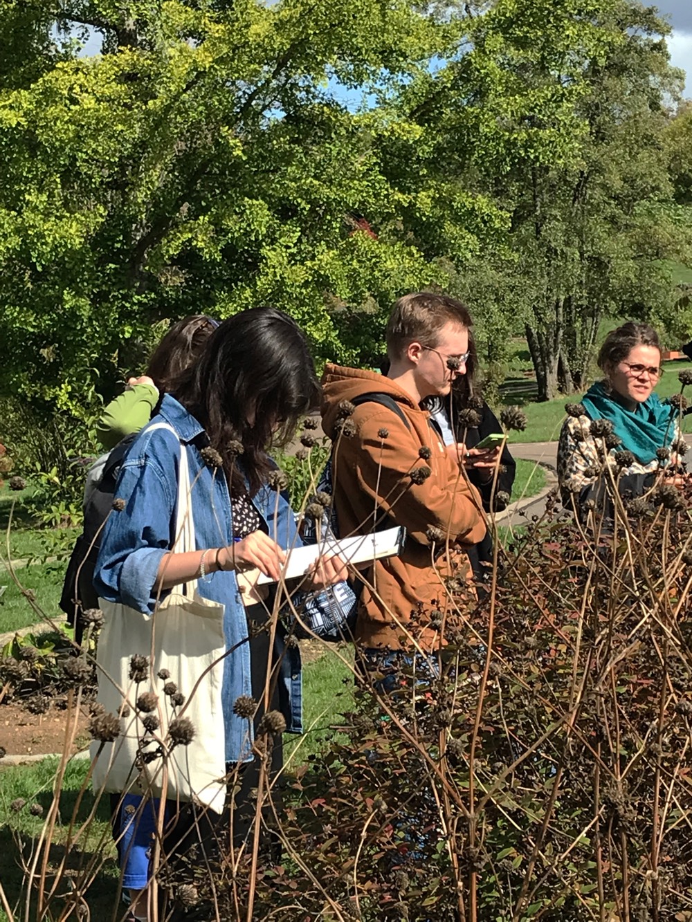 Studio_echelle_un_Plantule_Chloe_Guillemart_Emma_Gitzinger_ESCH22%2810%29