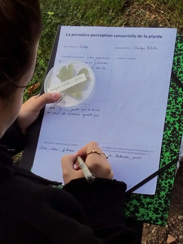 Studio_echelle_un_Plantule_Chloe_Guillemart_Emma_Gitzinger_ESCH22%283%29