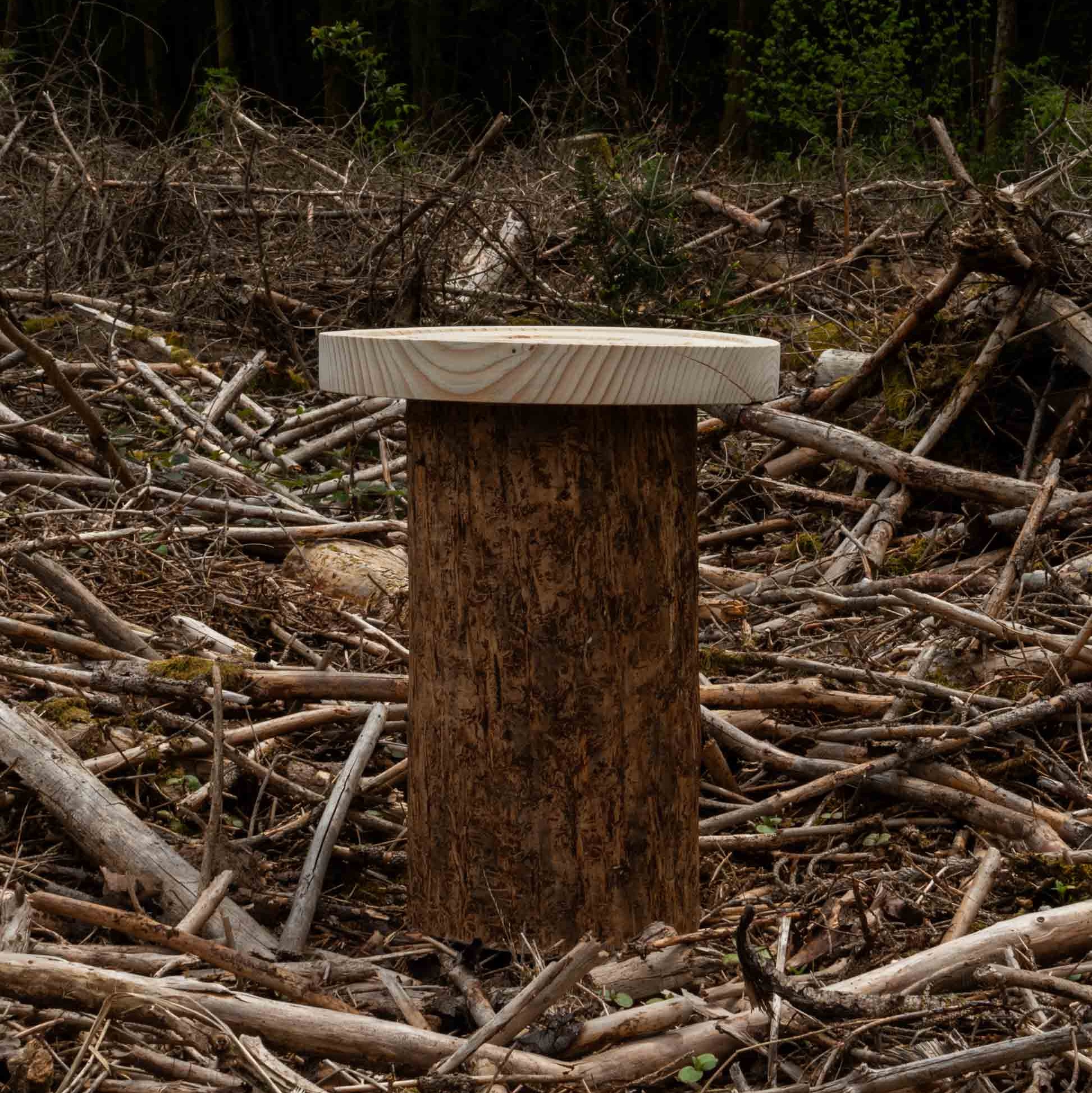 placeholder image-sq