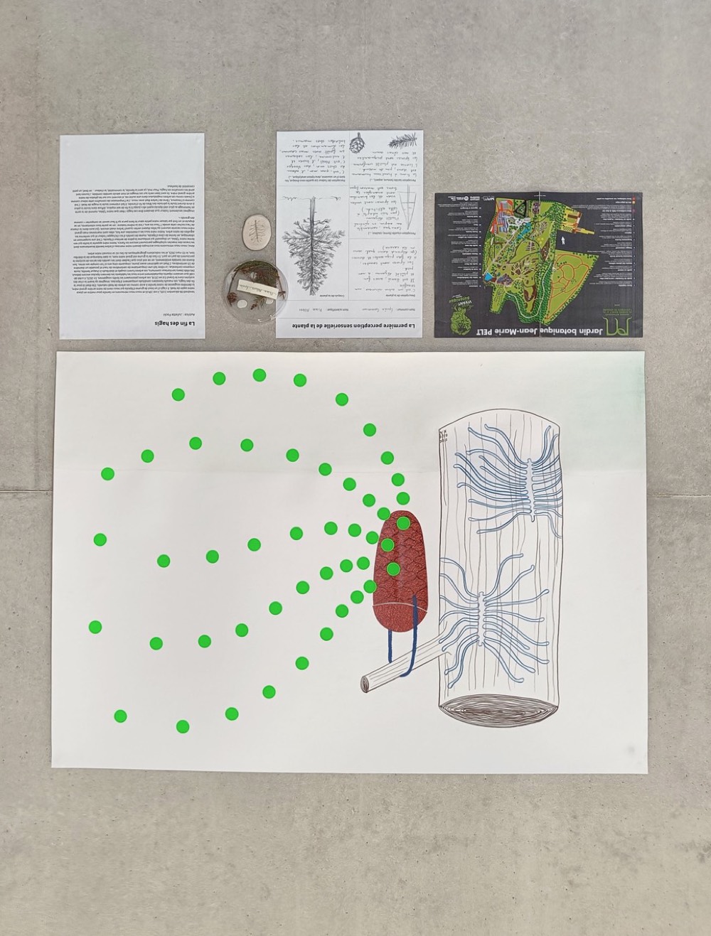 Studio_echelle_un_Plantule_Chloe_Guillemart_Emma_Gitzinger_ESCH22%2810%29