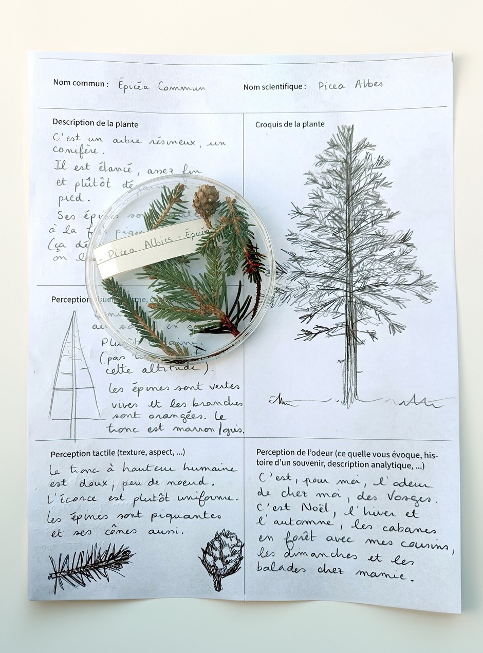 Studio_echelle_un_Plantule_Chloe_Guillemart_Emma_Gitzinger_ESCH22%283%29