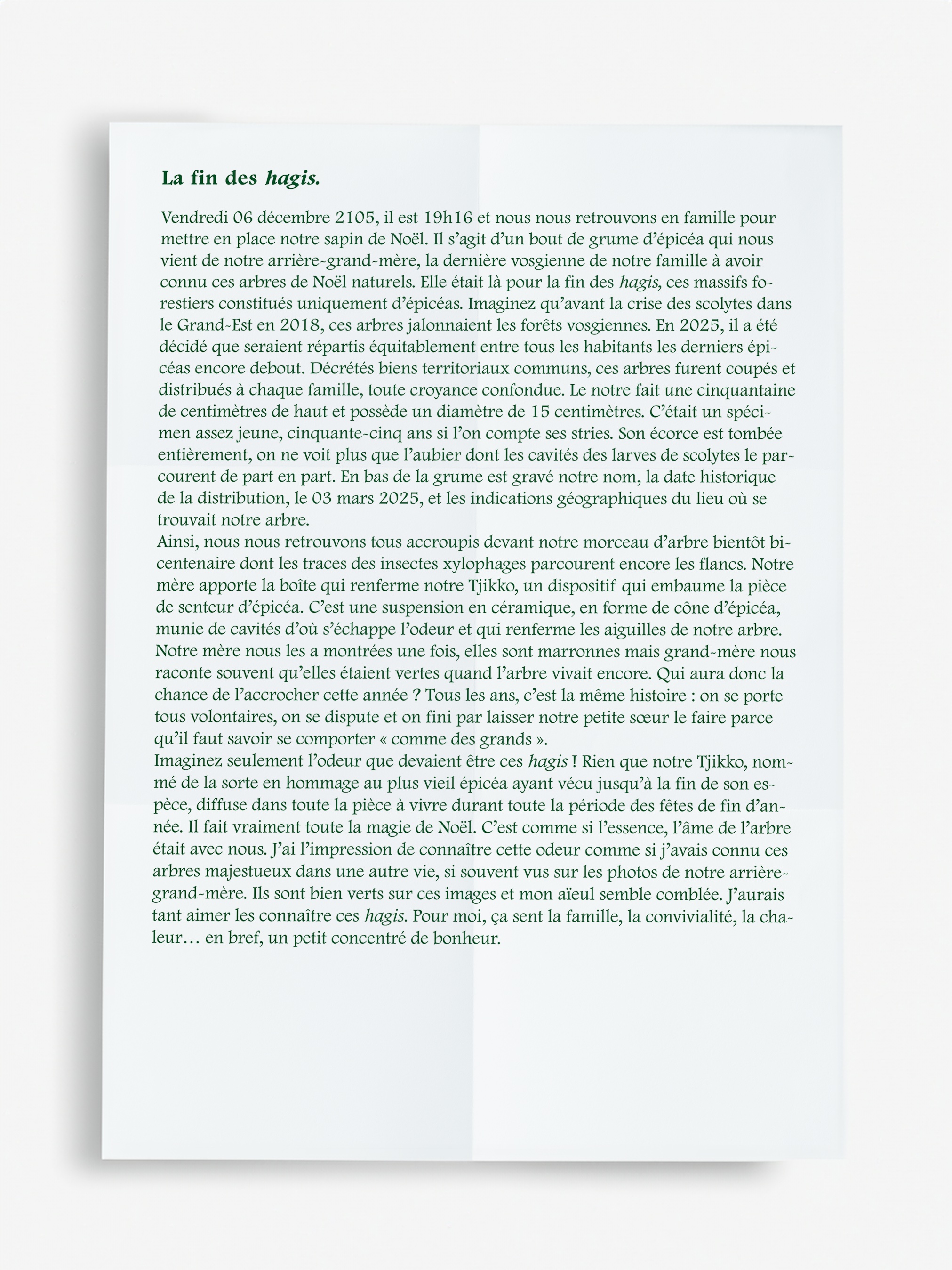 Studio_echelle_un_Plantule_Chloe_Guillemart_Emma_Gitzinger_ESCH22%2816%29_result_result