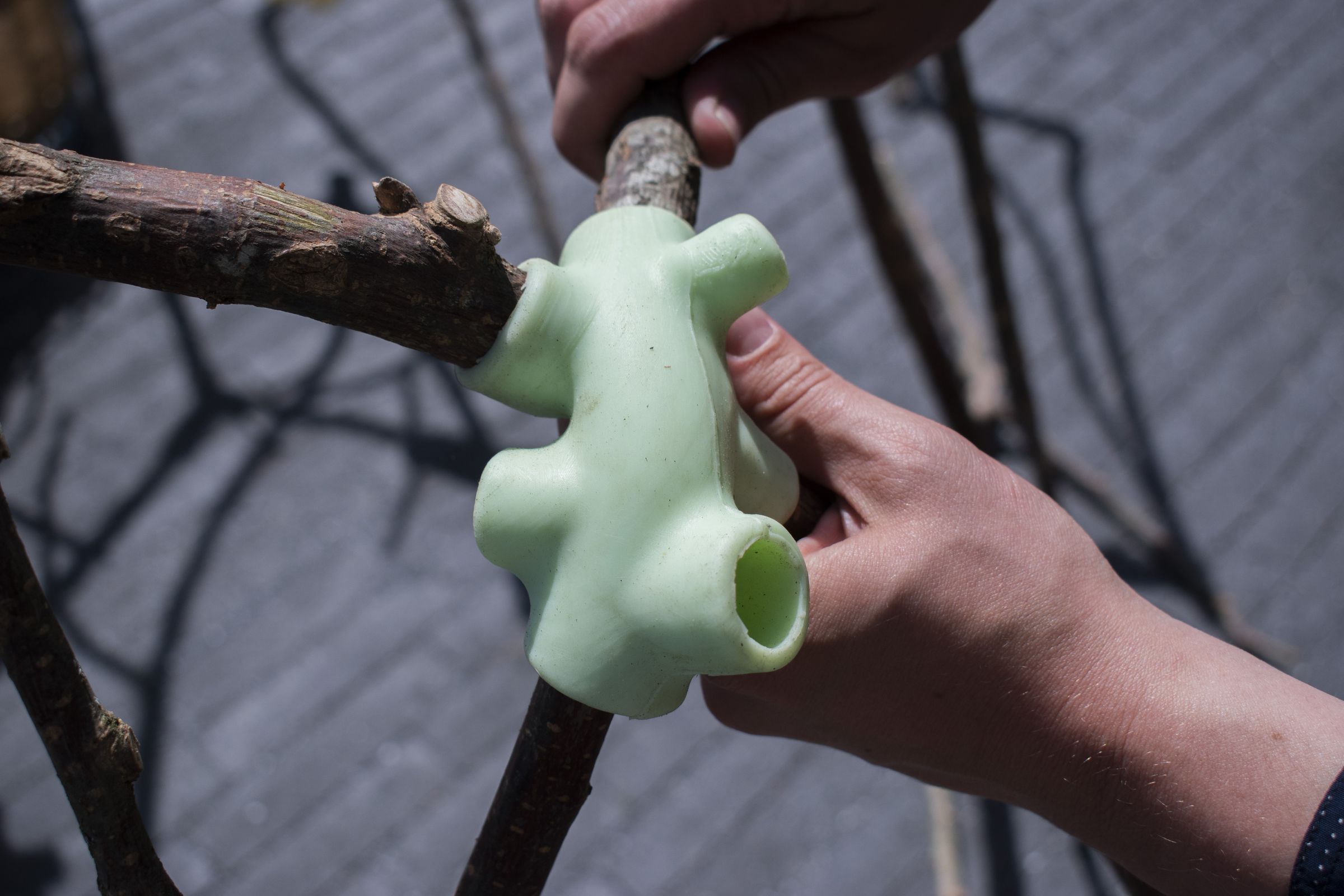 Studio_echelle_un_Plantule_Chloe_Guillemart_Emma_Gitzinger_ESCH22%2812%29_result