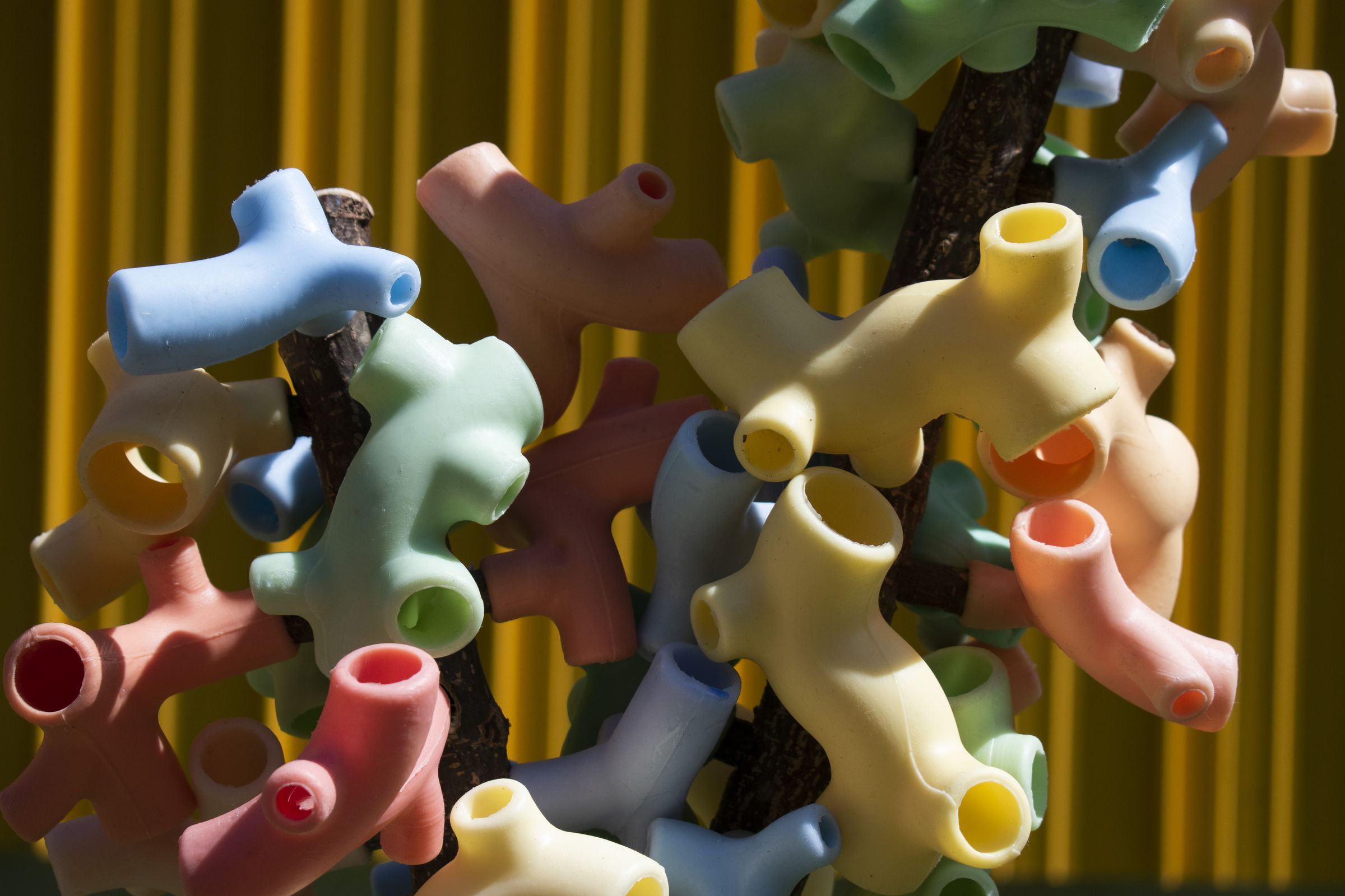 Studio_echelle_un_Plantule_Chloe_Guillemart_Emma_Gitzinger_ESCH22%2816%29_result_result