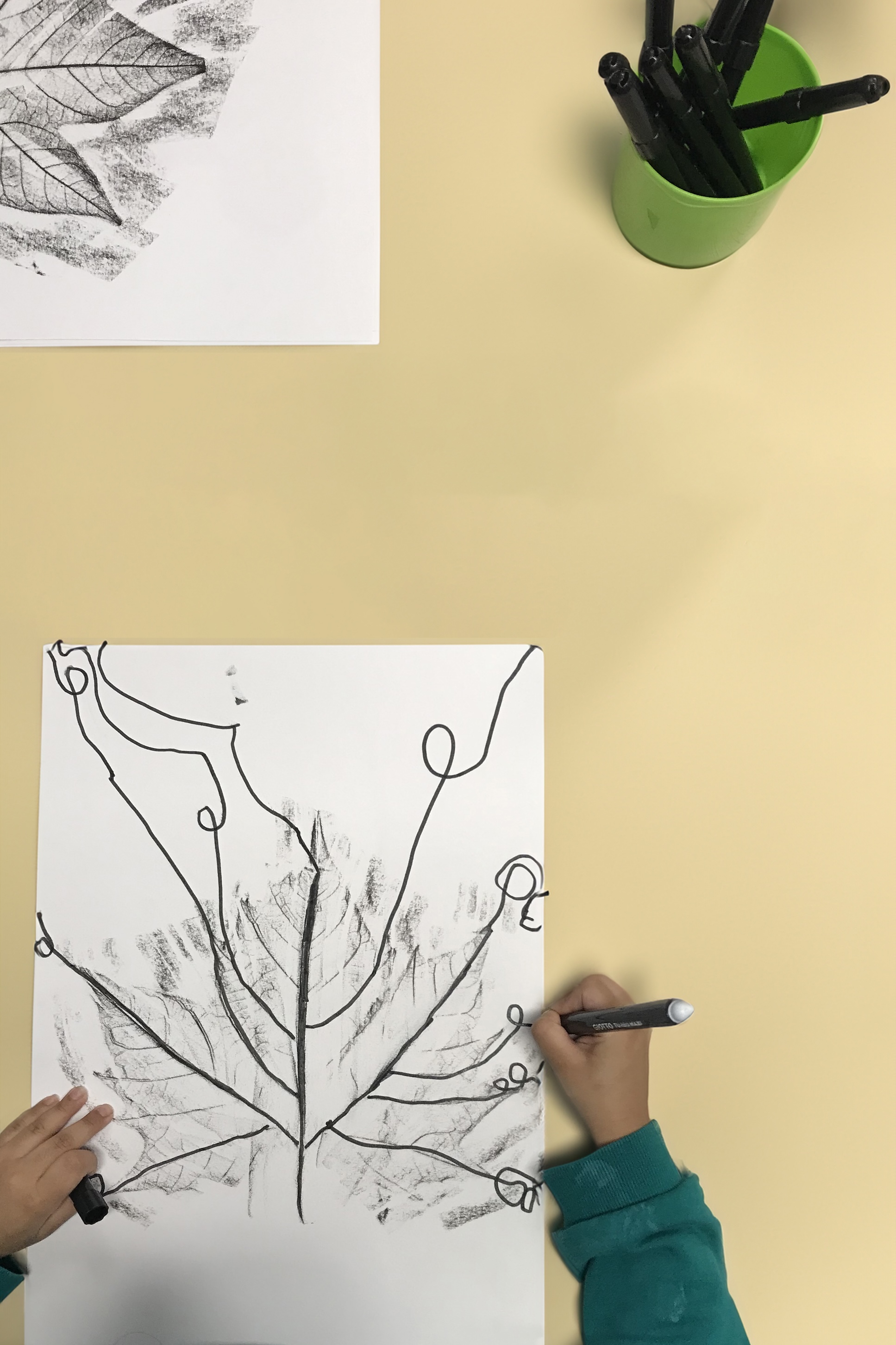 Studio_echelle_un_Plantule_Chloe_Guillemart_Emma_Gitzinger_ESCH22%2810%29