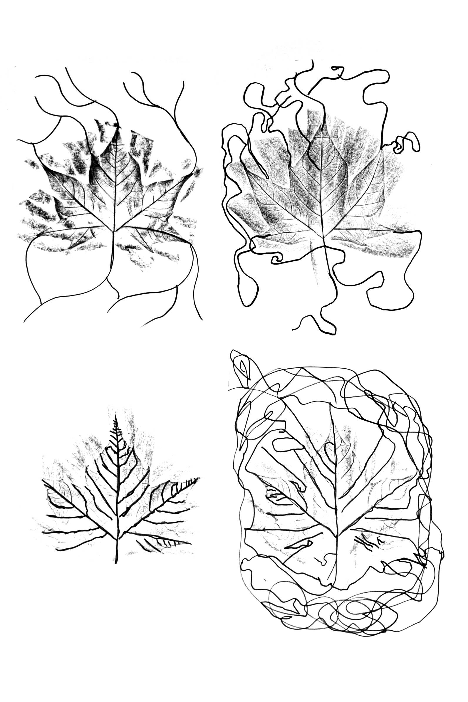 Studio_echelle_un_Plantule_Chloe_Guillemart_Emma_Gitzinger_ESCH22%283%29